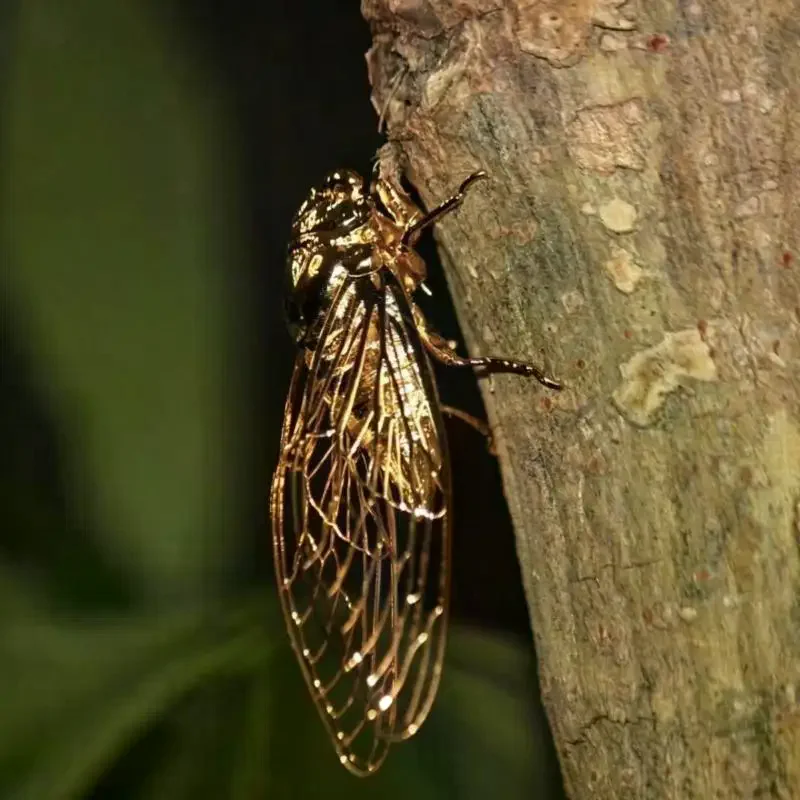 Creative Exquisite Cicada Figurine Mini Hollowed-out Alloy Animal Statue Retro Small Ornament Gift for Insect Art Lovers