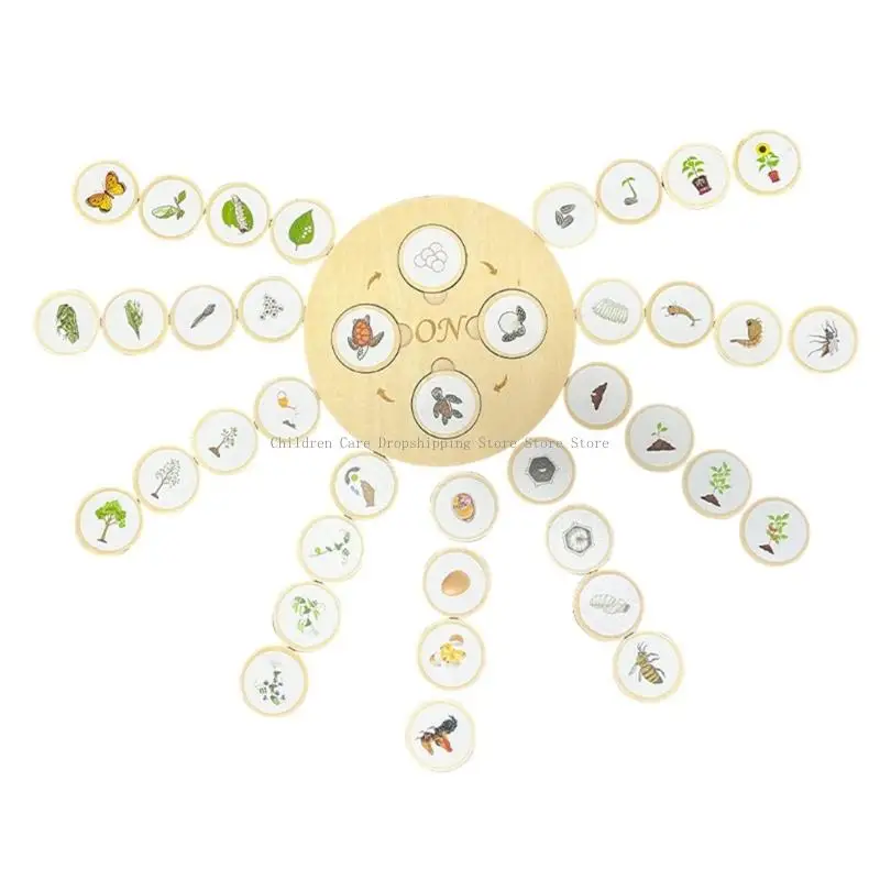 Biological Life Growing Boards Boards พ่อแม่กิจกรรมเด็กกิจกรรมการศึกษาปฐมวัยของเล่น