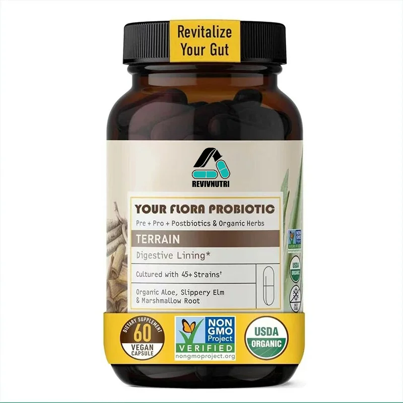 Contains Fermented Soybeans, Aloe Vera, and Elm Trees To Promote Intestinal Balance and Digestion, 60 Capsules