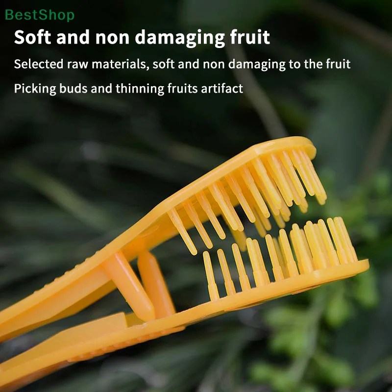 Victoria Organiva Clipe de po - Gardening Tools Victoria avaliação e preço