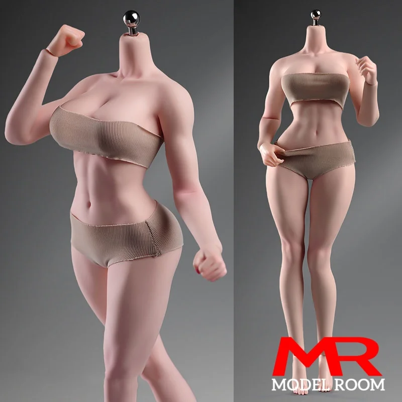 yZ[zANT T307 1/6XP[ AX[g V[X{fB 12C` \W[ CNAbv rbOoXg ANVtBMA y[T^ m[} tLVuh[