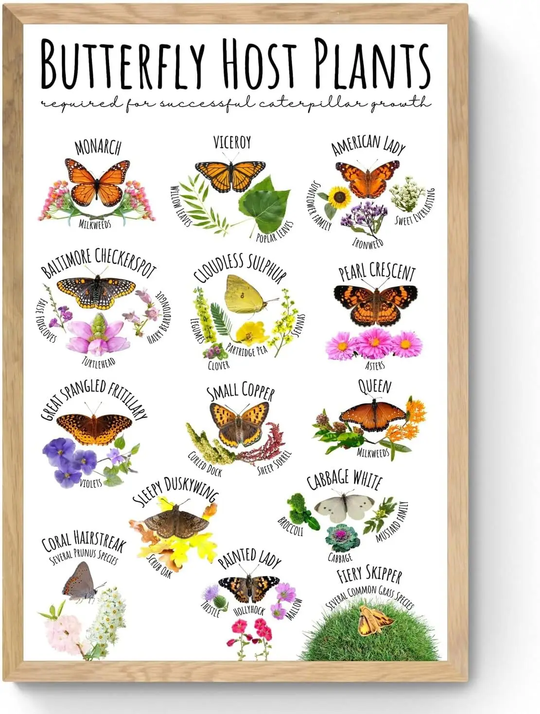Retro Metal Tin Sign  Host Plants Poster Nature Science Poster Garden Wall Art Classroom Wall Decor Gift-aluminum