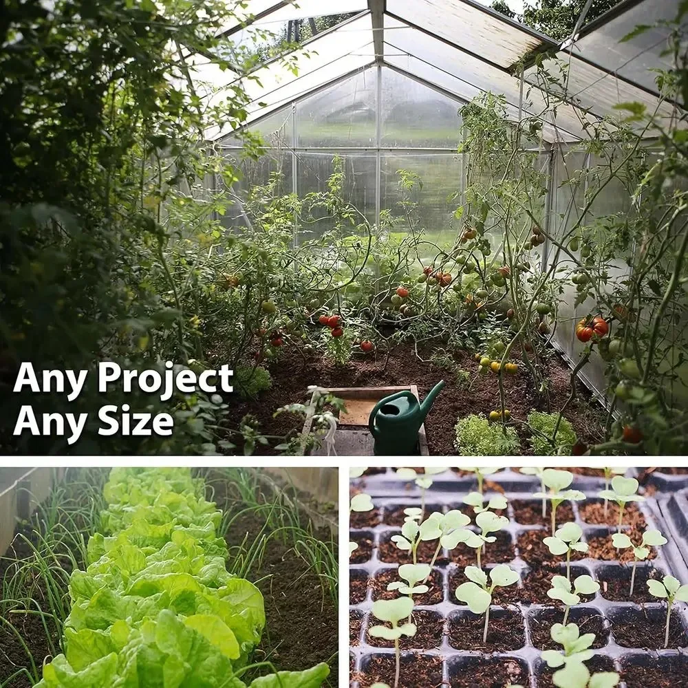 Test link, the product is for testing purposes only - for testing purposes only, not for actual use. No delivery upon placing aCertiied Organic Dried Yellow Soybeans - 30 Lb - Perect or Use in a Soy M image 6