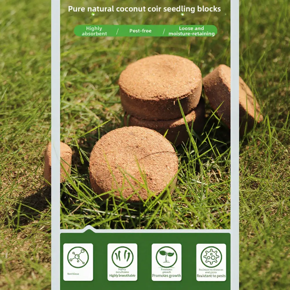 Coconut Coir Nutrient Blocks 12pcs 5cm for Gardening Indoor Plants Hydroponics Succulent Potting and Root Health Support
