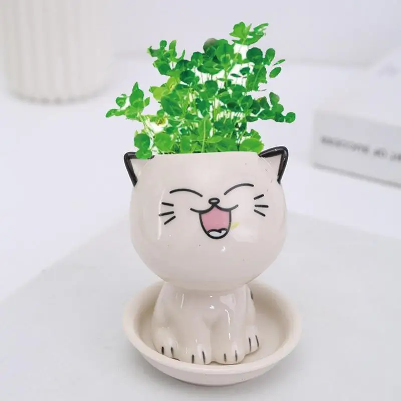 Maceta de cerámica con forma de gato para plantas suculentas, jarrón para plantas de interior, macetas de viñetas de animales, decoración del hogar,
