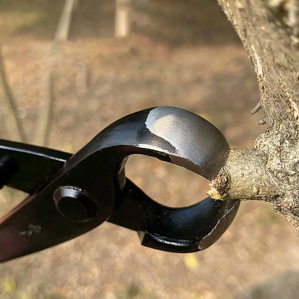 

Tree Knots Pliers Professional Garden Branch Knob Cutter Circular Concave Edges Fast Pruning Neat Cut Surface for Hedges