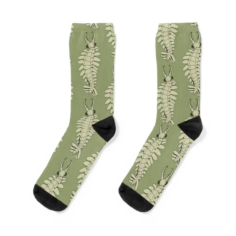 Anomalocaris Socks funny sock Climbing halloween compression Socks For Men Women's