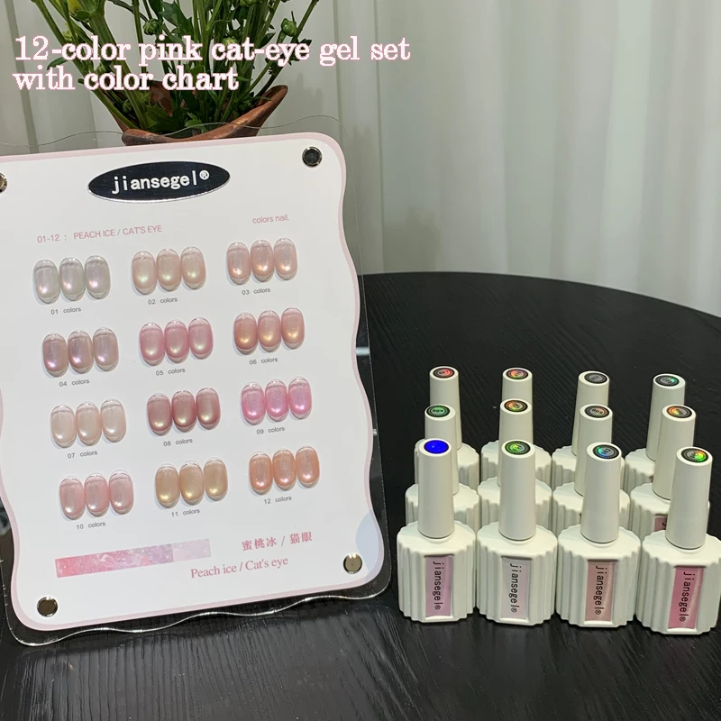 ensemble-de-vernis-a-ongles-gel-effet-œil-de-chat-rose-12-couleurs-avec-nuancier-gel-uv-nail-art-diy-nail-art-artistique-salon-de-manucure-charmant