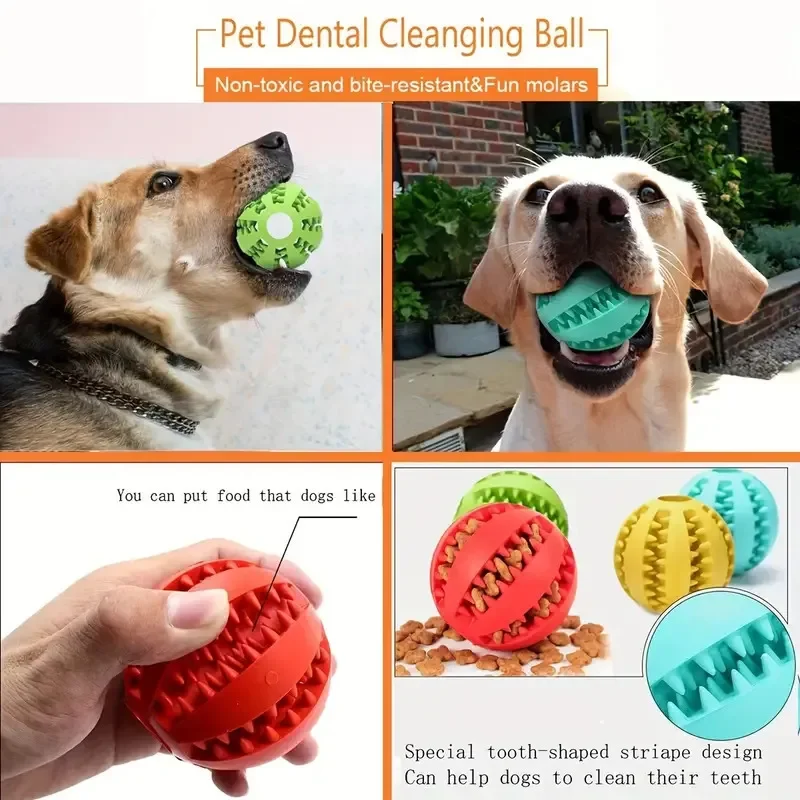 Pelota mordedor no tóxica para perros medianos y pequeños - imagen 3