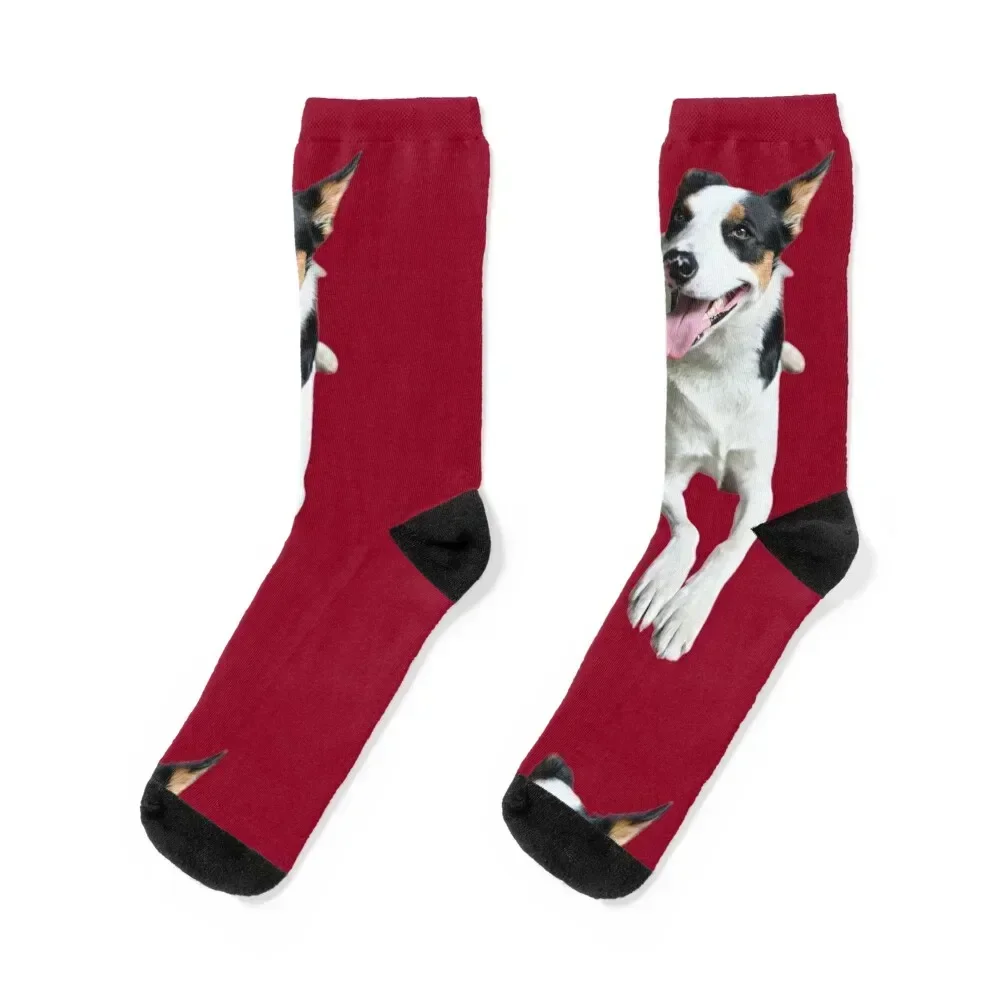 

Vinnie One Wine Super Model Socks designer brand sports stockings sport Men Socks Women's