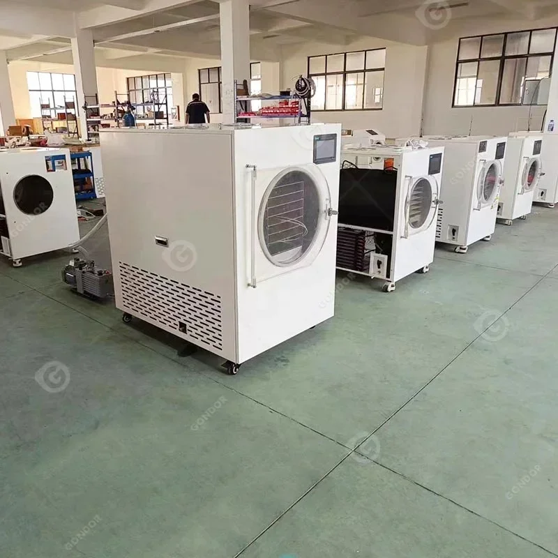 Lyophilizer Dry Drying Large Home Meat Commercial Food Machine China Freeze Dryer for Coffee Micro Greens