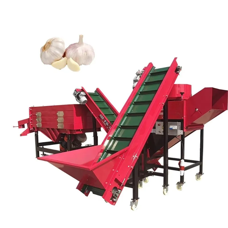 Adjustable Garlic Grading Machine 6 Size Categories 200-500g Weight Sensors Engine Core for Export Quality Garlic Sorting
