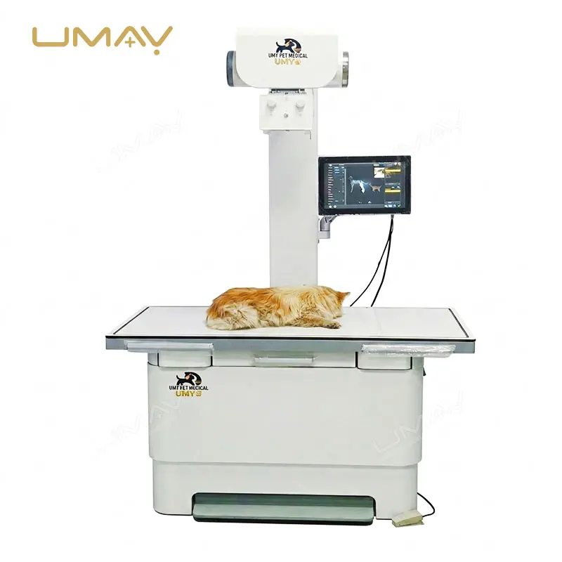 Vet Clinic DR Veterinary Dental X-ray Machine Digital Imaging System for Horse/Cat/Dog Use