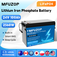 DATOUBOSS 24V100A Lithium Iron Phosphate Battery Deep Cycle LiFePO4 Battery Rechargeable BMS RV Campers Golf Cart Solar Storage