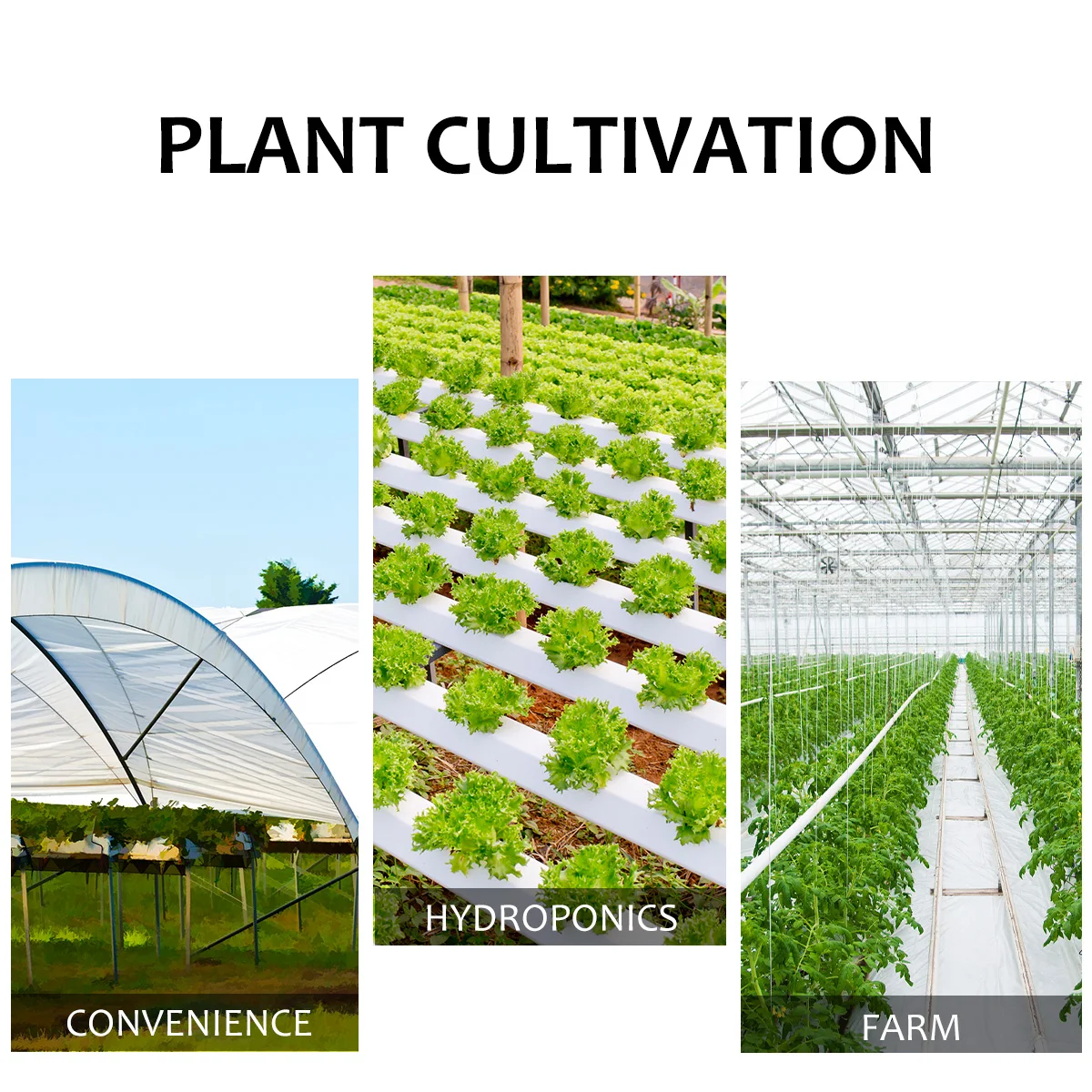 

Vegetable Seedling Tray Sprouting Trays Microgreens Drain Holes Soiless Hydroponic Nursery Growing Beans Wheatgrass Safe Home
