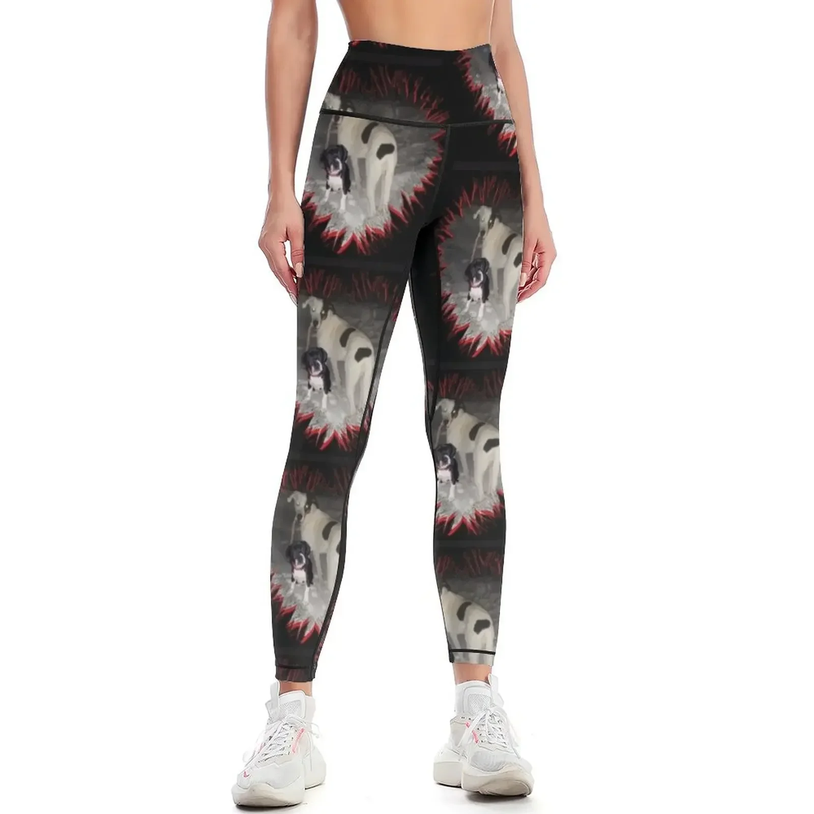 

Dogs Leggings sports tennis for Clothing fitness sportswear woman gym 2025 sports for gym Womens Leggings