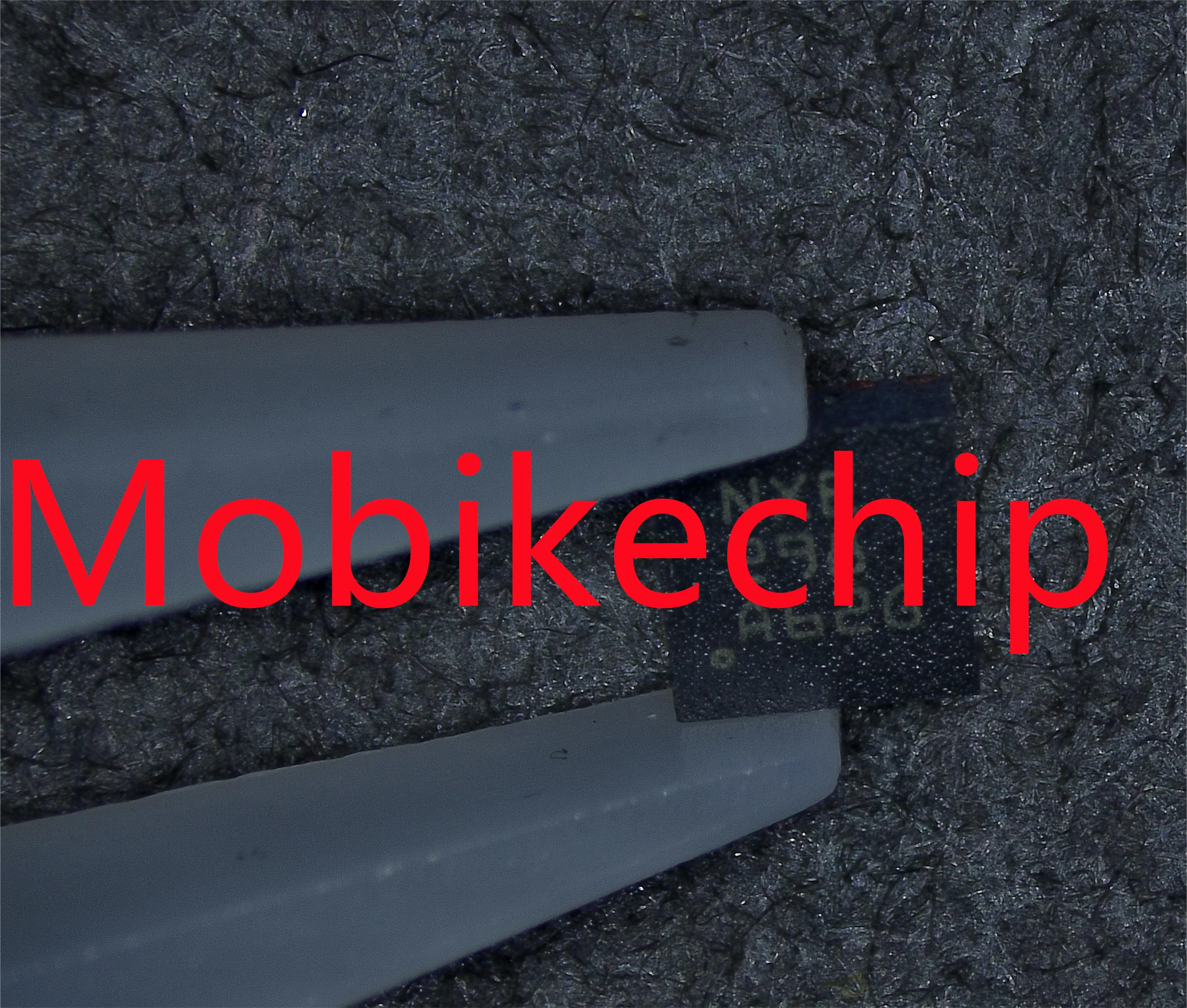 BQKamp40DSQR, BQKamp40DSQT, Neuf, Original, En Stock