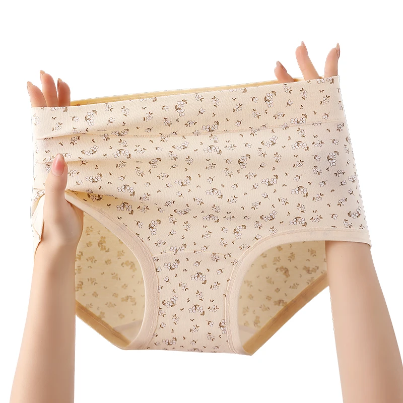 Fashion Underpants Women Micro Underwear Lady Women's Panties Set Pack Women's Cotton Briefs Lingerie Sexy Seamless Intimates
