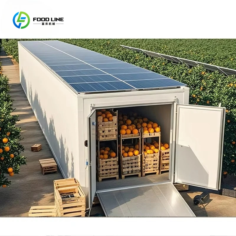Customized Cold Room System for Agriculture Solar-Compatible Large Cold Storage Warehouse with Humidity Control