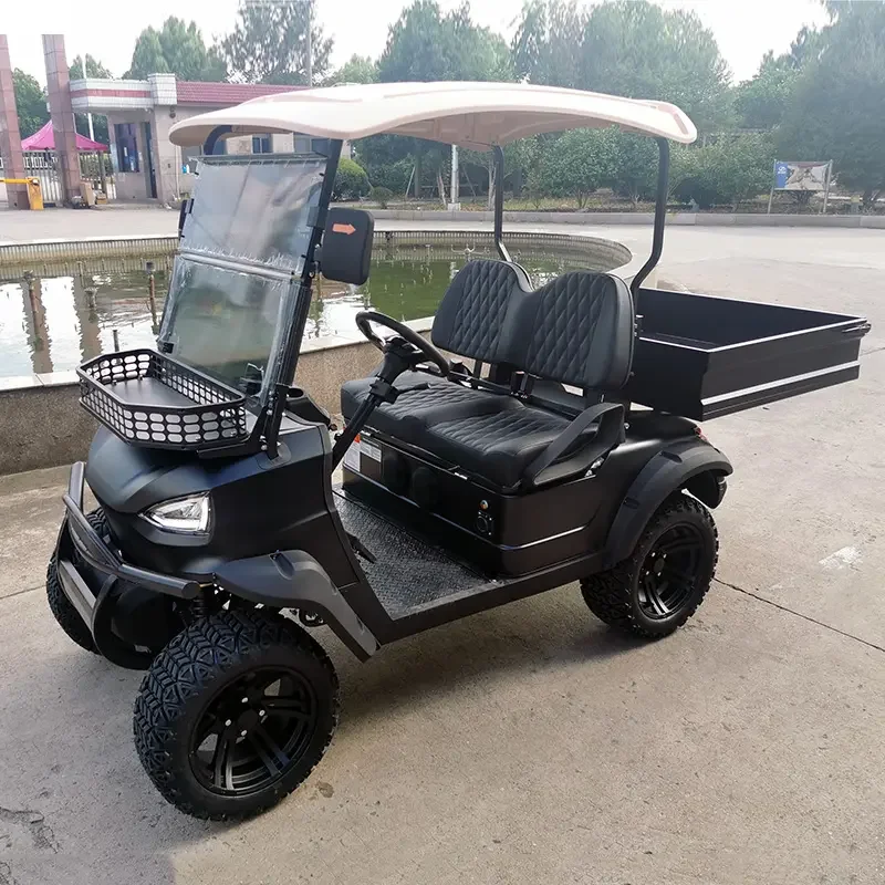 2024 New Style Design Cheap Price Safe Factory Direct Mini 2 Seat Electric Golf Cart with Cargo box