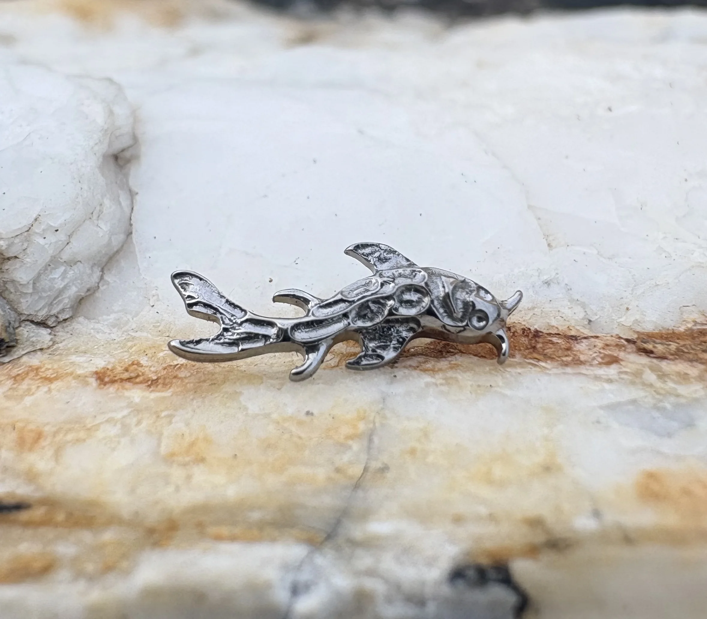 16 جرام زرع الصف التيتانيوم ASTM F136 موضوع داخلي شكل الأسماك الأذن Labret الغضروف اللولب أقراط للأذن ثقب مجوهرات للجسم