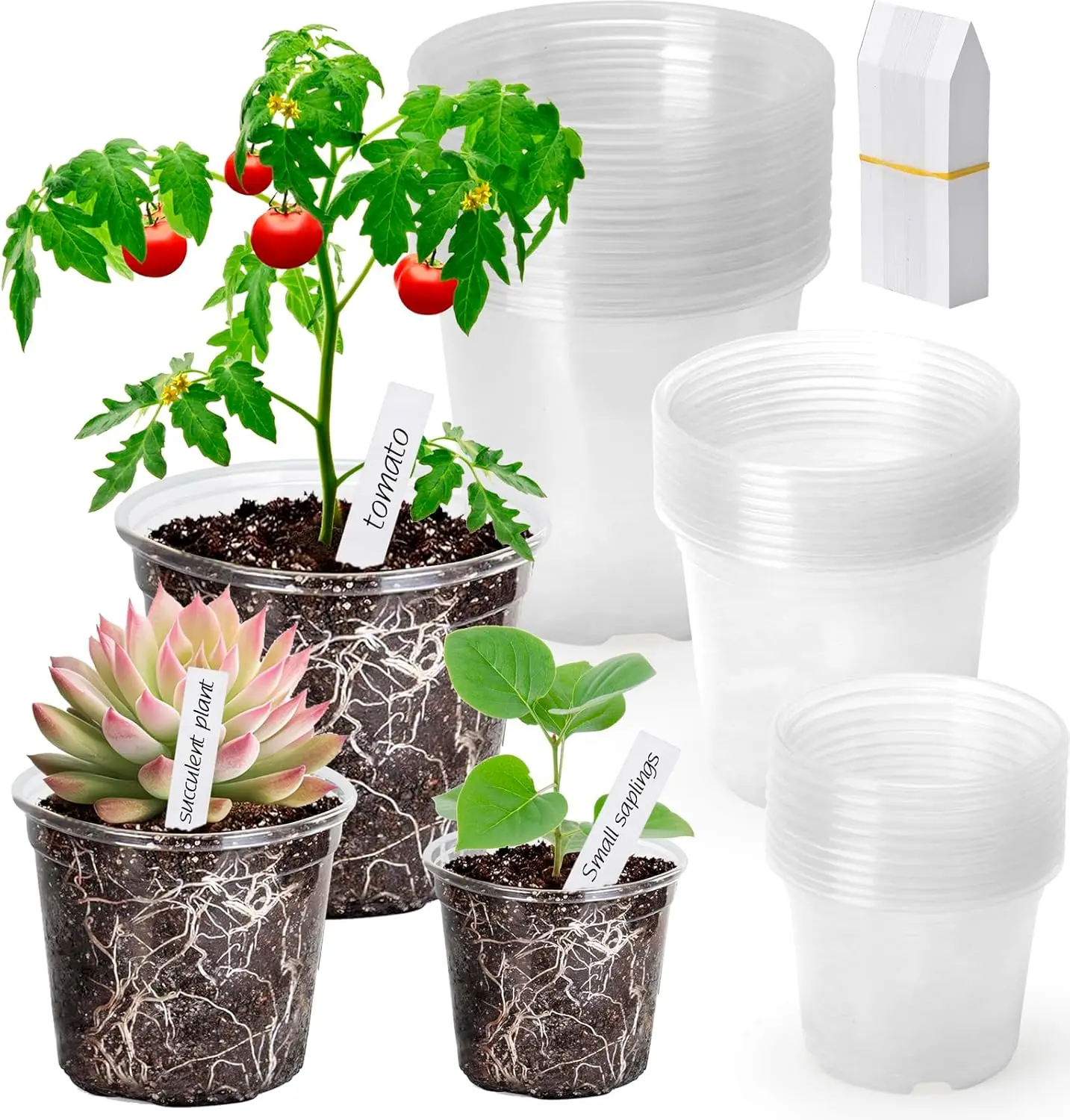 36 Pack Clear Nursery Plant Pots with Drainage