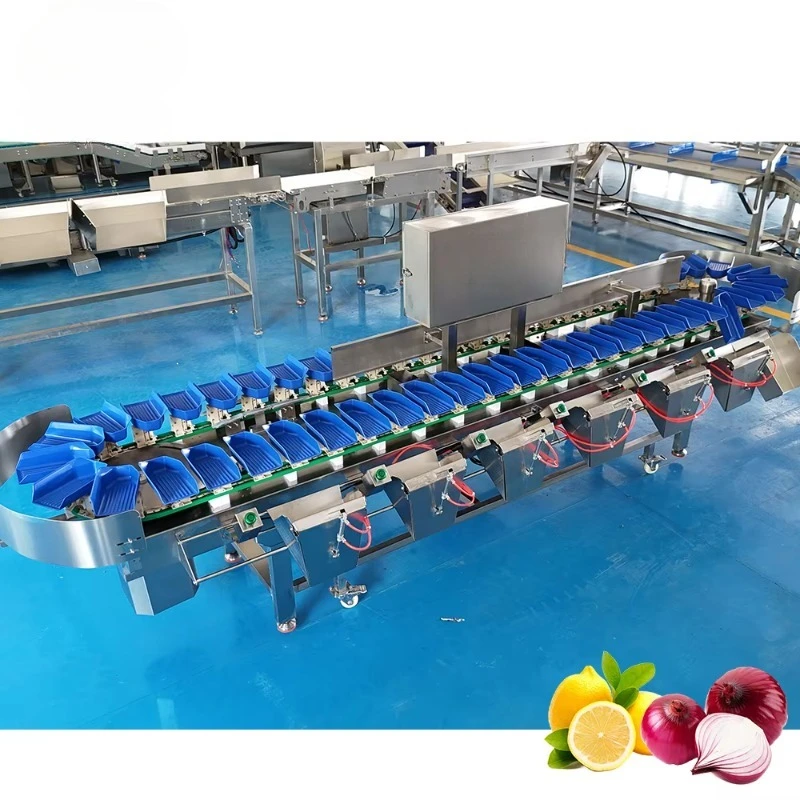 Easy Clean Box Type Weight Grading Machine Food Contact SUS304 Material for Various Raw Food Sorting Operation