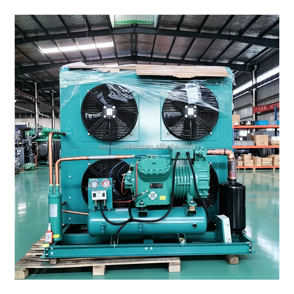 Piston Condensing Unit Air Cooled Refrigeration System for Cold Room and Freezer Storage
