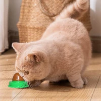 5/10Pcs Catnip Wall Ball Healthy Nutrition Cat Nip Treats Cat Sugar Ball Cat Snacks Candy Ball for Help Digestion 3
