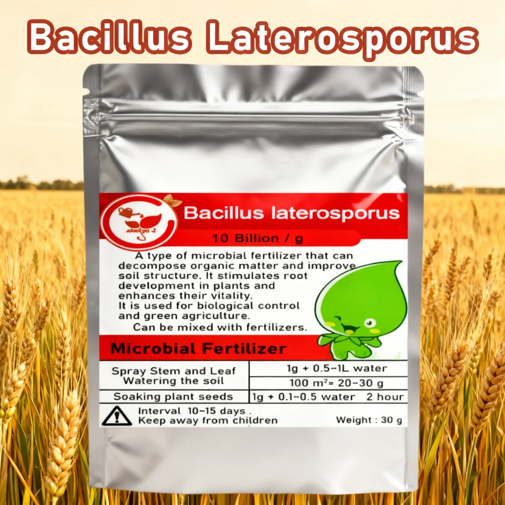 Fertilizante Orgánico Verde de Bacillus Lateralosporus de 30g para Uso Agrícola, Estimula el Crecimiento de Cultivos y la Salud del Suelo de Forma Natural