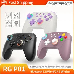 ANBERNIC RG P01 RGP01 Gamepad Wired Wireless Bluetooth RGB Hall Effect Joystick XBOX Game Controller für PC Android IOS Steam