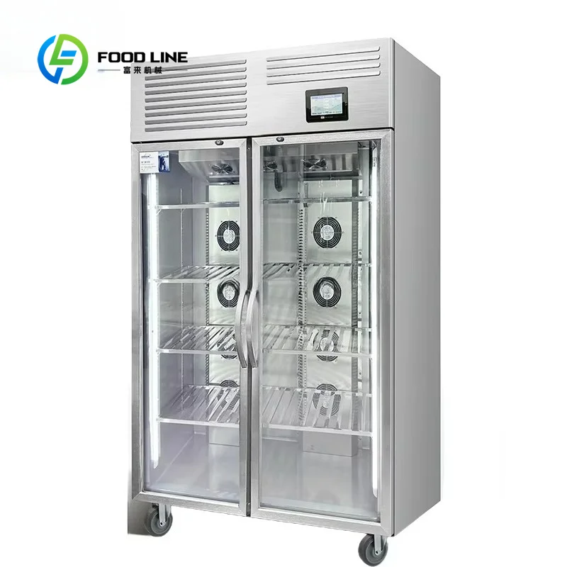 customized Stainless Steel Automatic Thawing Cabinet Commercial High Voltage Electric Field Frost Free Air Cooled Unit