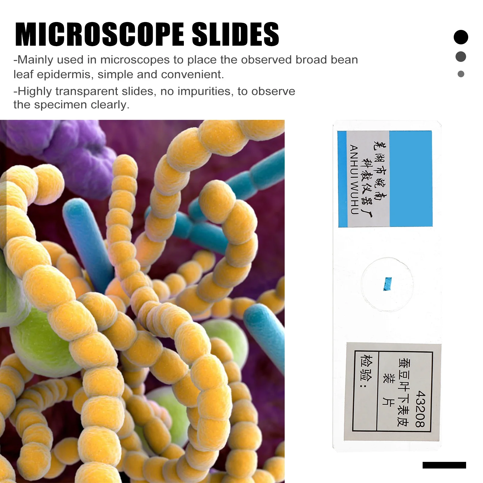 5Pcs Prepared Microscope Slide No Sharper Edges Design for Safe and Reliable Biological Experiments At Home