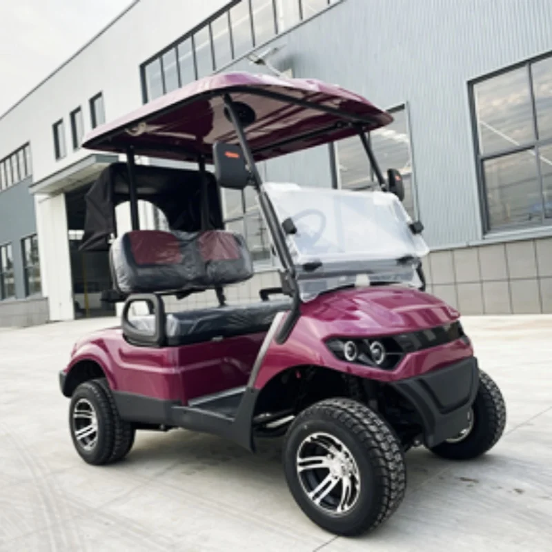 New Sightseeing Car Four Wheel Electric Golf Carts Side Mirror With Turning Light Touch Screen Multi - Media Backup Camera