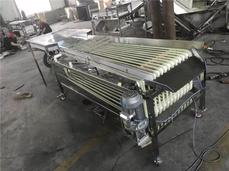Available for Fruits and Vegetables Fruit Vegetable Sorter Potato Tomato Grading Production Line Dates Grade Sorting Machine