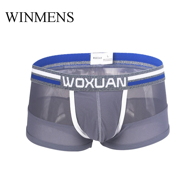 

Men's Sports Mesh Boxer Briefs Underwear Sexy Transparent Grenadine Trunks Underpants Ultra Thin Breathable Sheer Panties