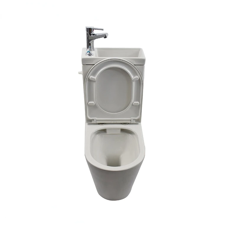 2 in 1 Toilet with Wash Basin and Taps Side Inlet Flushing System Toilet