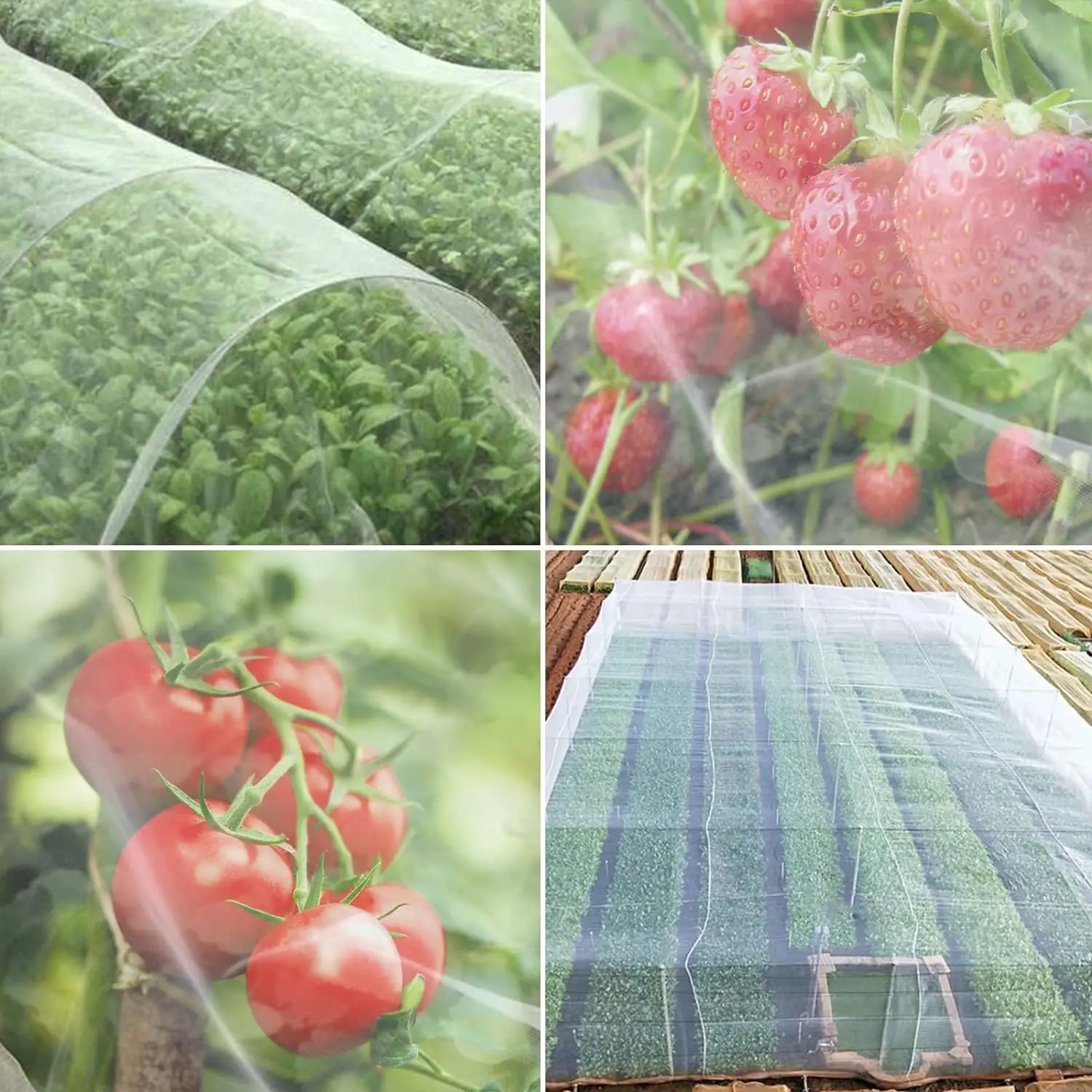 1PC Garden Insect Protection Net Plant Vegetable Tomato Pepper Fruit Care Cover Bug Greenhouse Pest Control Anti-Bird Insect Net