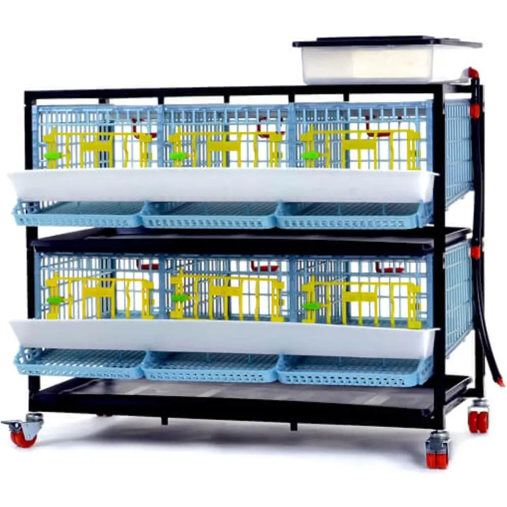 

Stackable 2-Layer Indoor Quail Cage - 38.6 x 24 x 35.8, Rust-Free Plastic Breeding System with Removable Divider and Egg Trays