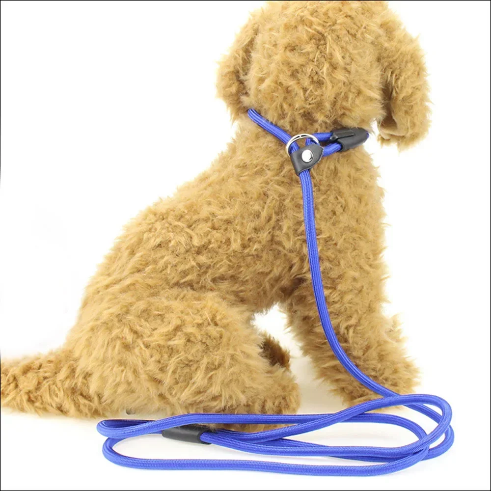 Dog Leash Slip Chains Collar Leads Strong Heavy Duty Nylon Rope No Pull Pet Training Leash for Small Dogs Puppy Traction Rope