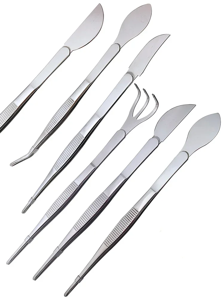 1pc 2-in-1  304 Stainless Steel Root Rake with Bonsai Tweezers with Ergonomical Handle Soil Farming Tool for Succulents Crafting