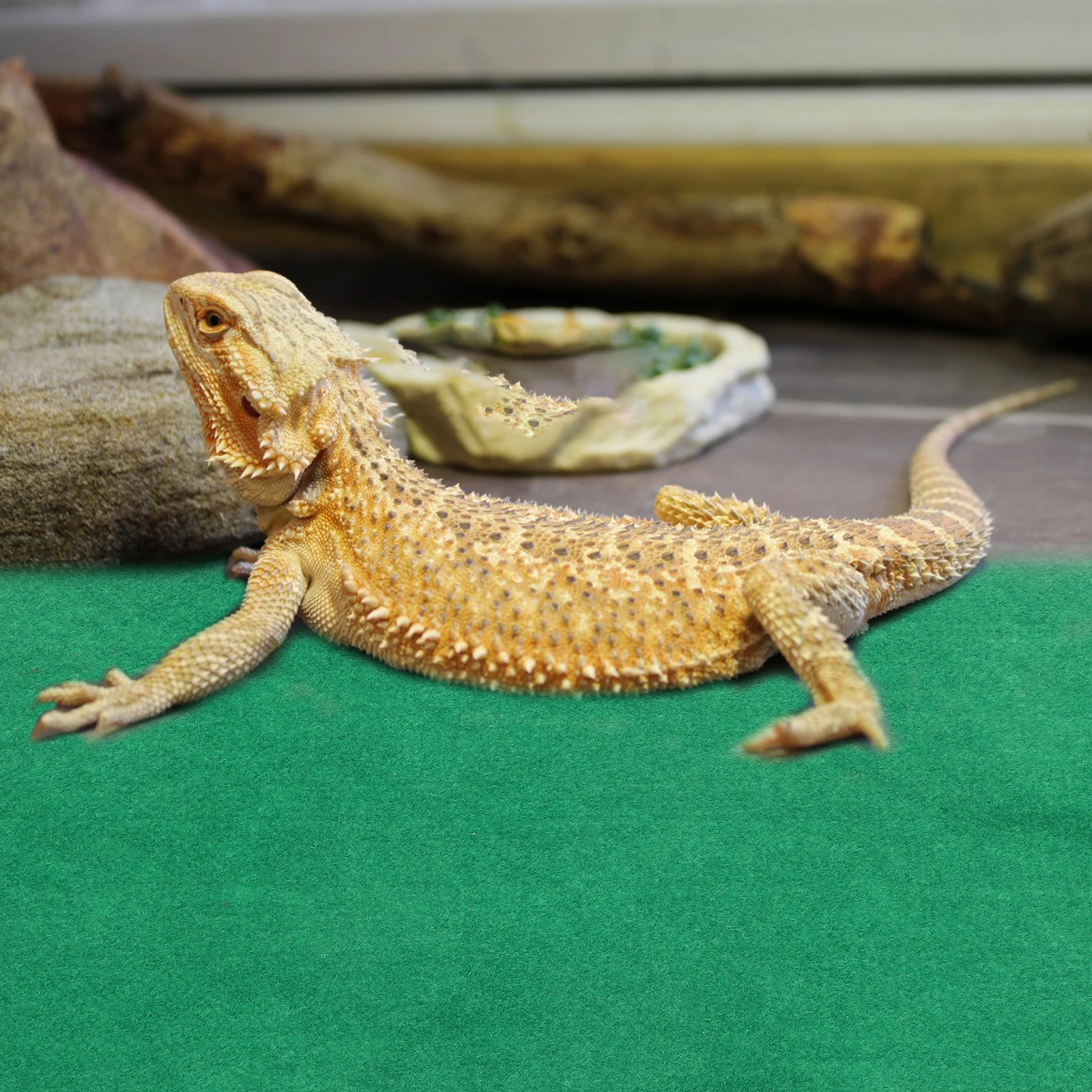 

Waterproof Reptile Mat 60X40Cm Warm Pet Cushion Tortoise Sleeping Pad Durable Carpet For Lizards Spiders Reptile Supplies Pets