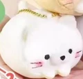 white cat