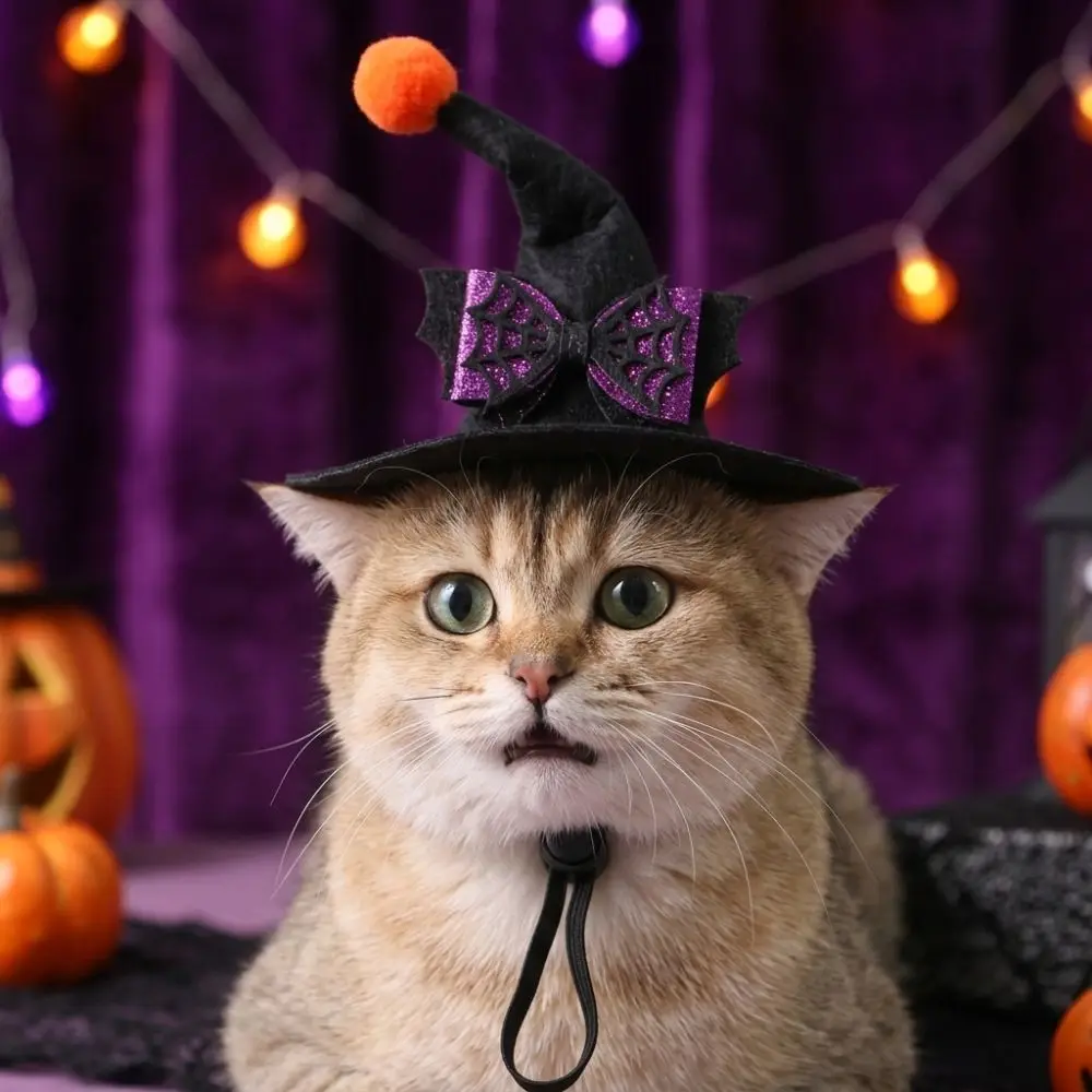 Adjustable Strap Pet Halloween Witch Hat Pointed Brim Curved Top Dog Halloween Party Hat Lightweight Fit Pom Pom Ball
