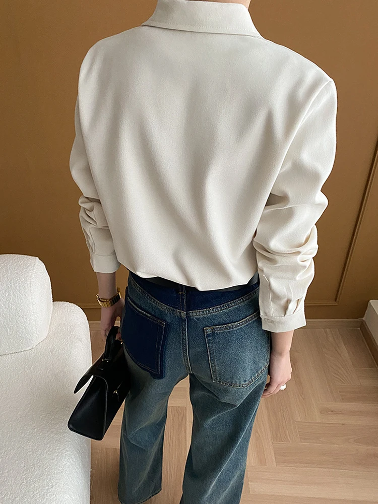 [LANMREM] Fashion Office Lady Shirt Women Lapel Single Breasted Long Sleeve Minimalism Solid Blouses 2024 Autumn New 26D9987