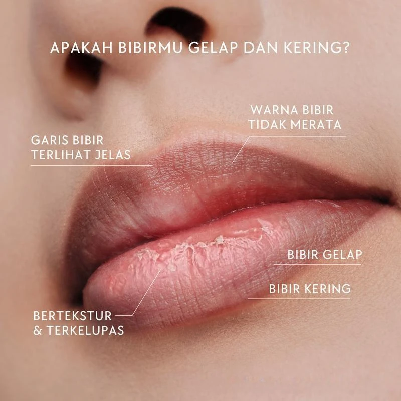 Peptide Lip Revitalizing Serum Exfoliating Nourishing Hyaluronic Acid Dark Lips Care  24H Hydration Brightening Essence