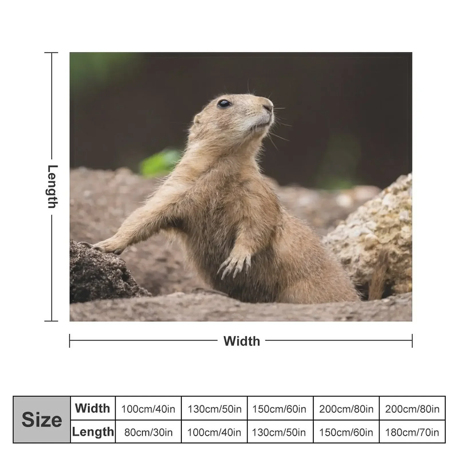 Black Tailed Prairie Dog Throw Blanket warm winter Softest Extra Large Throw Blankets