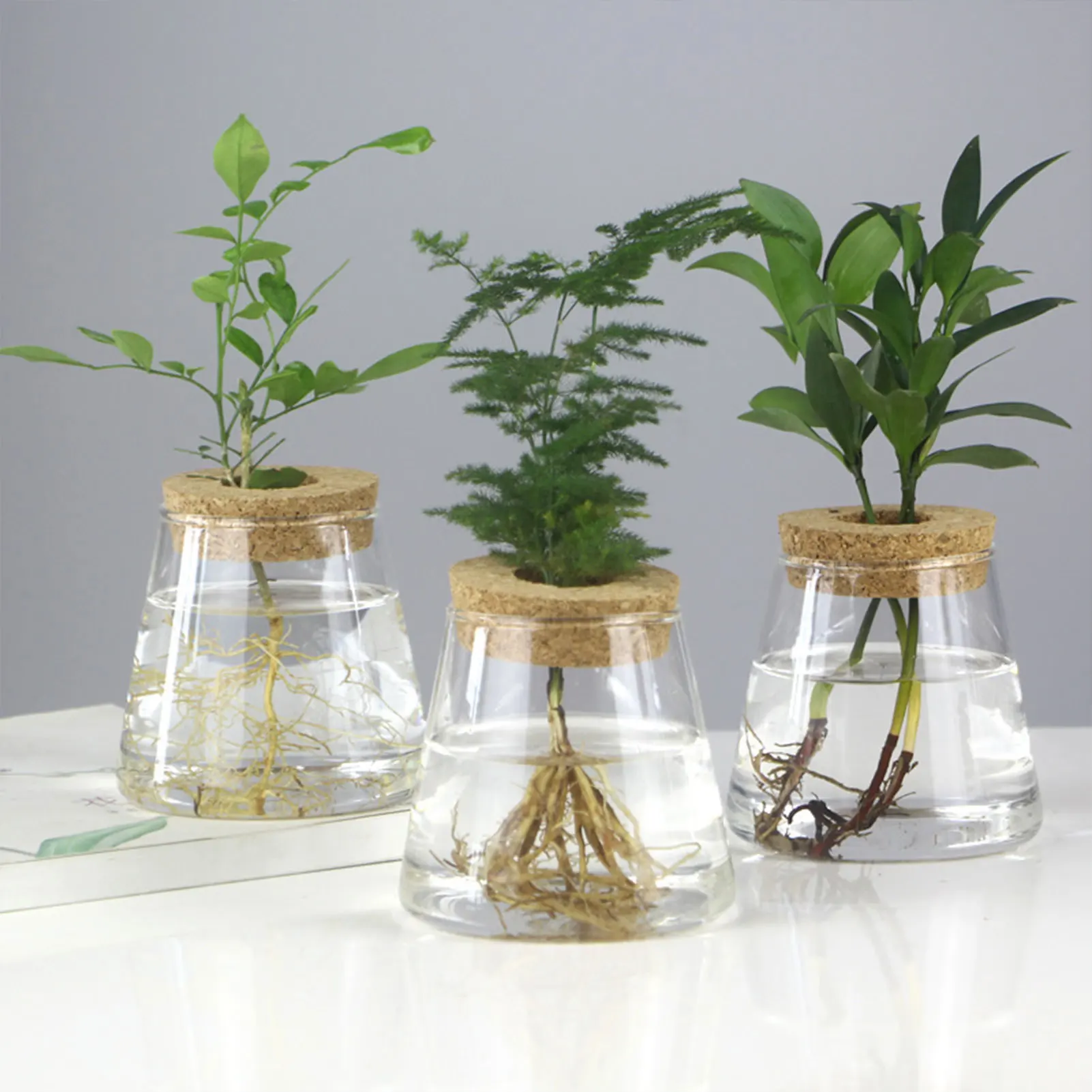 Vasos de Vidro para Plantas Hidropônicas, Estação de Propagação, Suporte para Vasos, Decoração de Mesa para Escritório e Casa