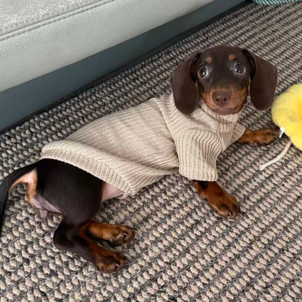 Winter-Strickpullover, Mantel für Dachshunde, Herbst-Loungewear für Wiener Hunde, Winterweste, Anzug für kleine Dackelhunde – Detail 5
