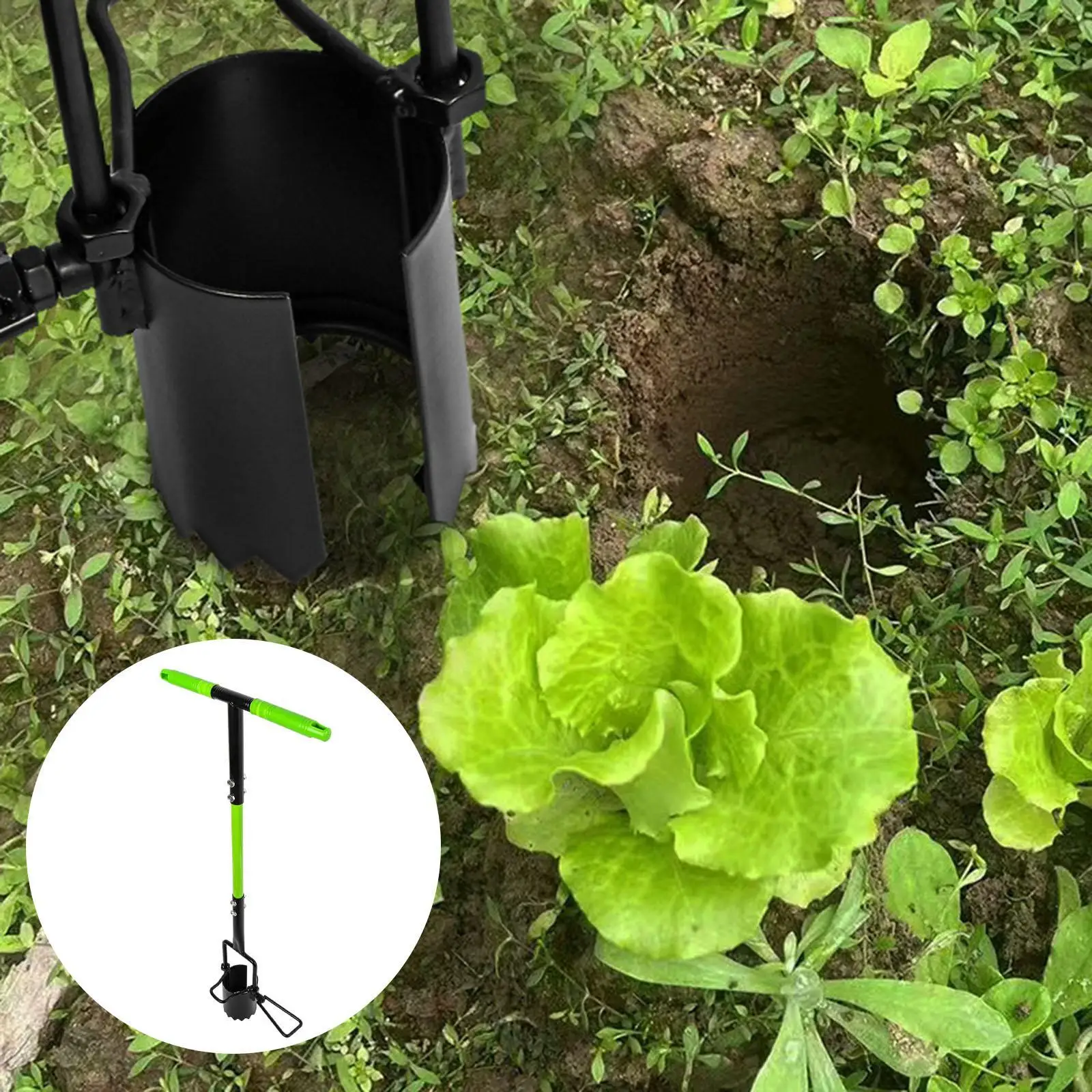 Herramienta para plantar bombillas, transportador Manual de plántulas resistente y resistente para plantar flores, agujeros de excavación para trasplante de plantas